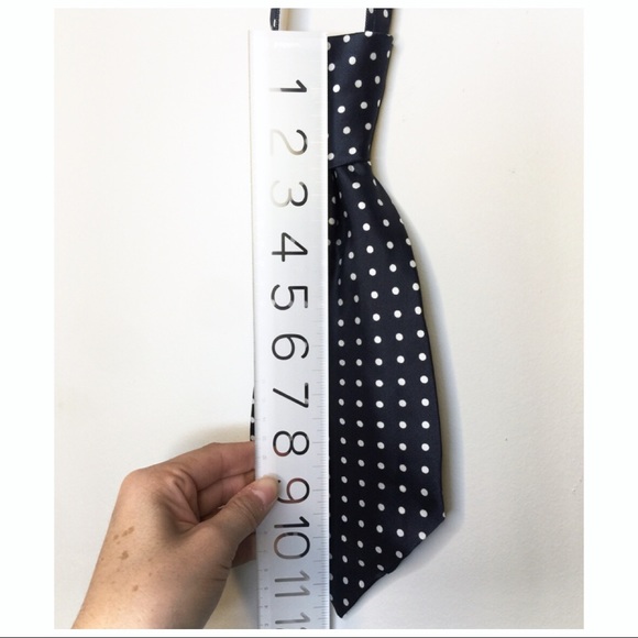 💛NEW💛 Fashionable Zipper Neck Tie! (NWOT) - Picture 5 of 7